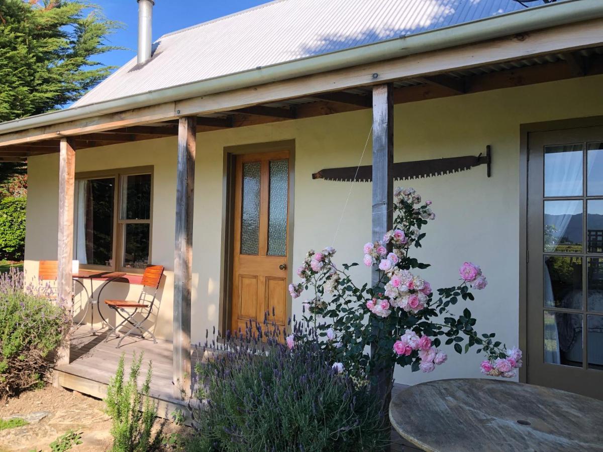 St Leonards Vineyard Cottages Blenheim Exterior photo