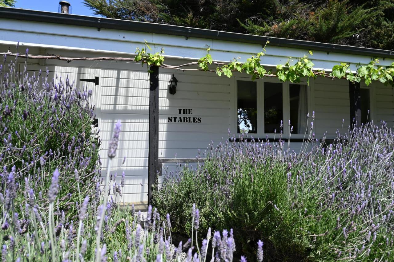 St Leonards Vineyard Cottages Blenheim Exterior photo