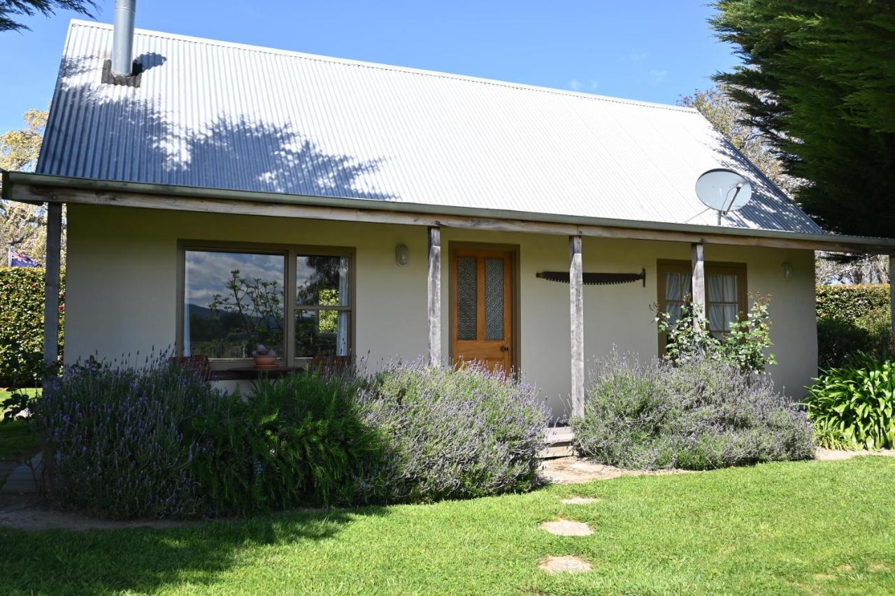 St Leonards Vineyard Cottages Blenheim Exterior photo